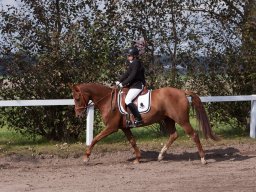 IMG_7902_web